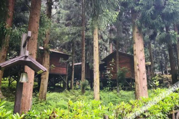 Hotel 8 of 54