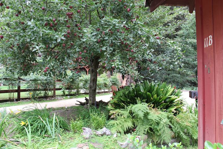 Terrace/Patio 251 of 329