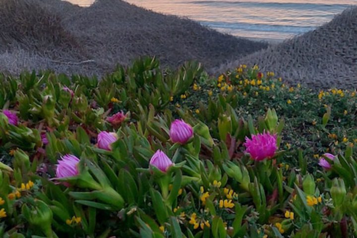 Beach 53 of 64
