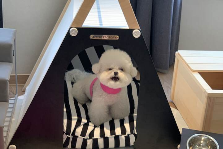 Pet Friendly 102 of 120