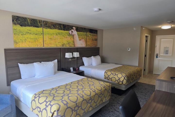 Room 14 of 65