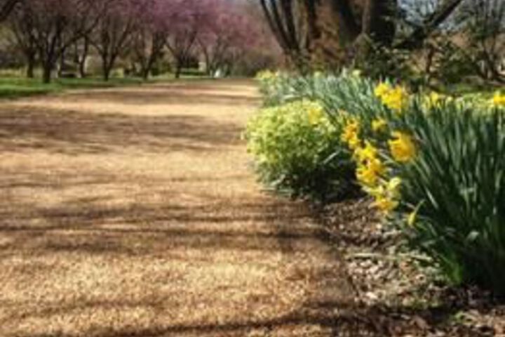 Property Grounds 38 of 40