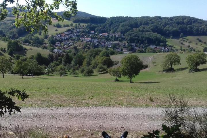 Photo 15
