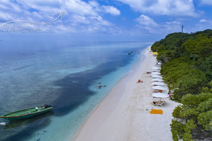 Beach 58 of 71
