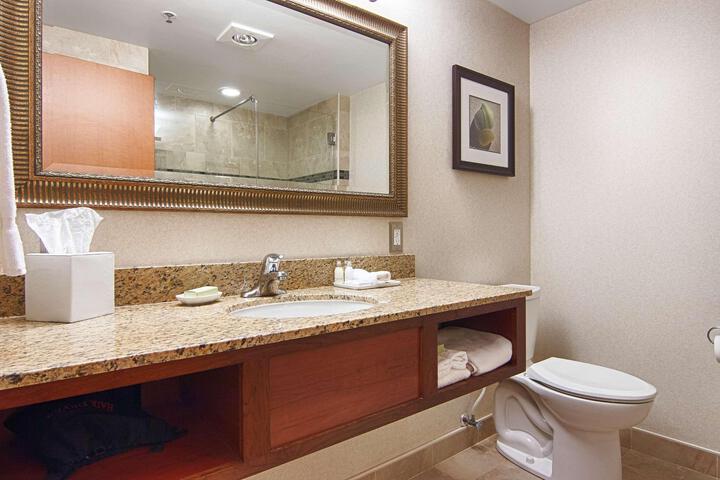 1 Queen Bed Mobility Accessible Communication Assistance Bathtub View Full Breakfast (20 of 20)