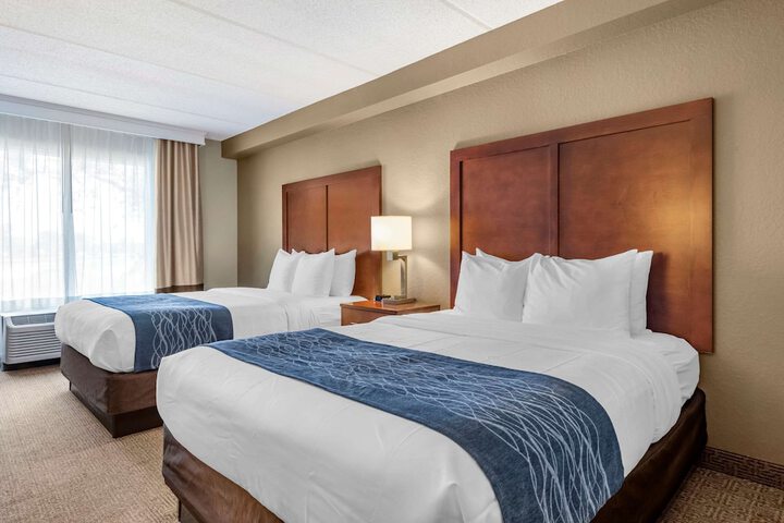 Business 2 Queen Beds Accessible (24 of 24)