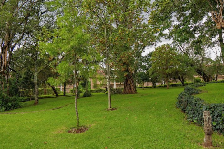 Property Grounds 92 of 114