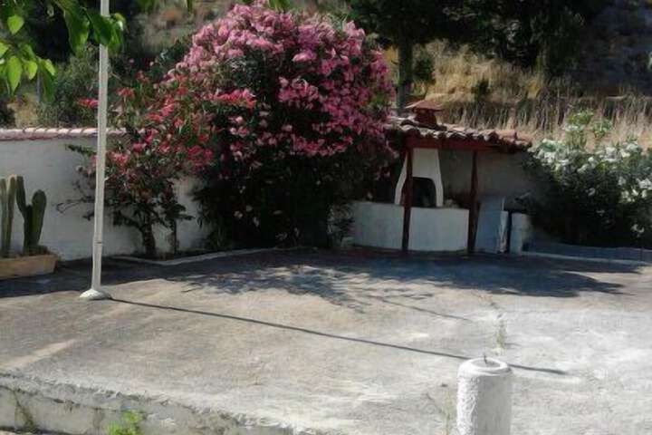 Property Grounds 41 of 42