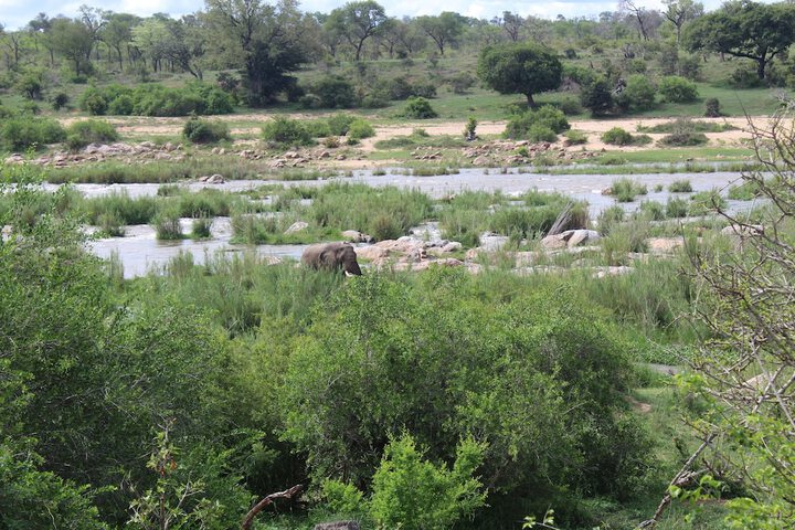 Property Grounds 19 of 24