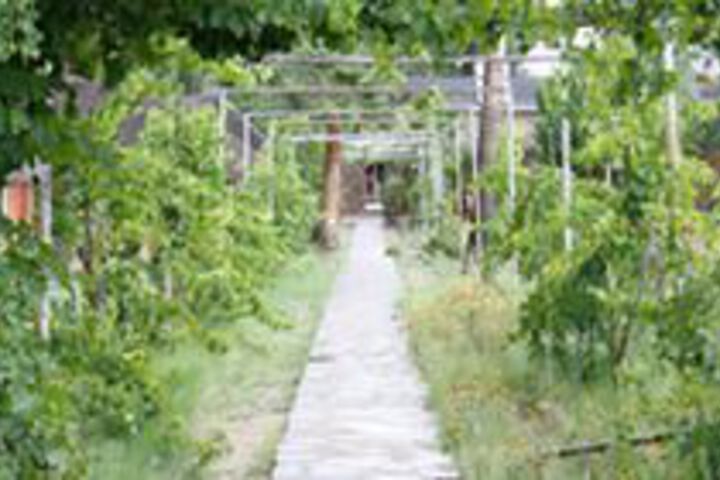 Property Grounds 15 of 18