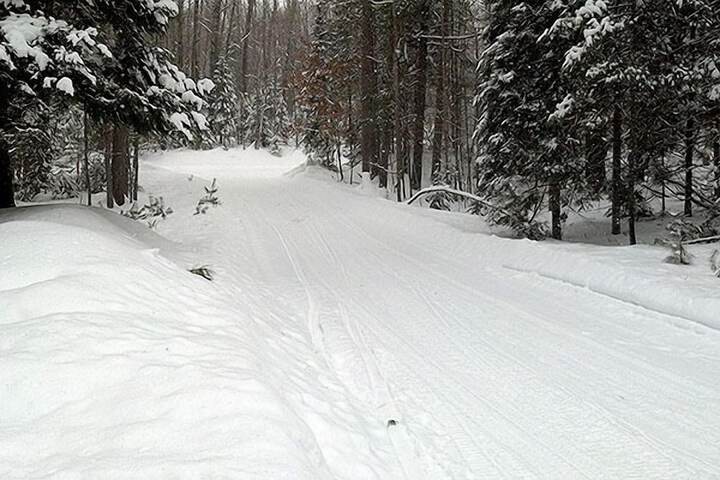 Property Grounds 81 of 104