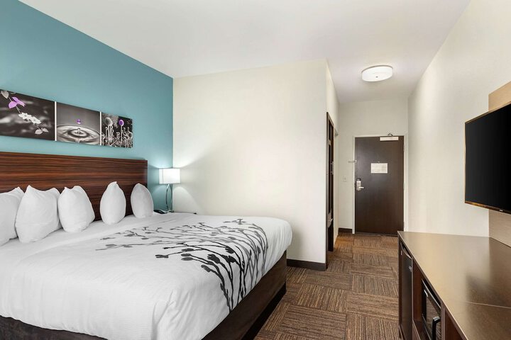 1 King Bed (6 of 13)