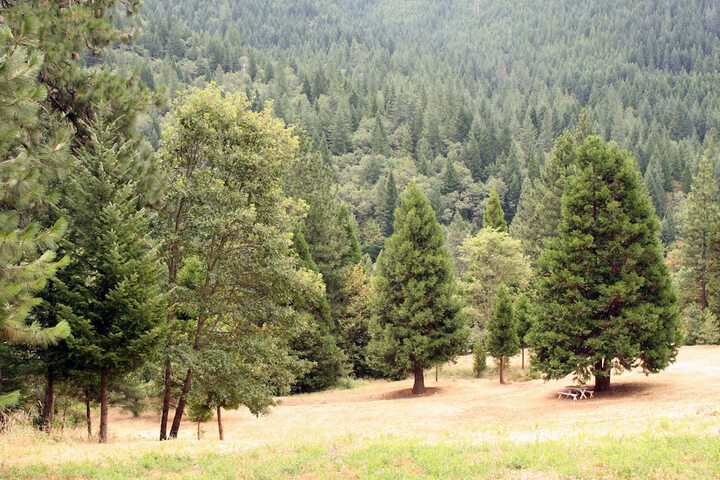 Childrens Activities 86 of 102