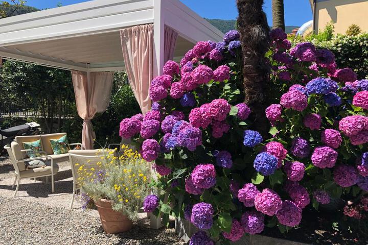 Photo of Hotel Antica Stallera