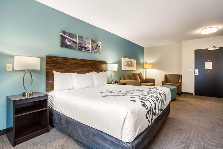 1 King Bed (14 of 22)