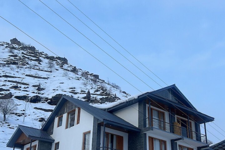 Photo of The Bulevar-Whispering Willow