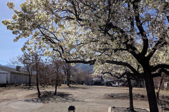 Property Grounds 28 of 31