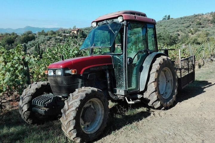 Fattoria di Fubbiano in Capannori