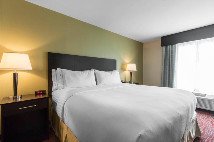 1 King Bed (10 of 12)