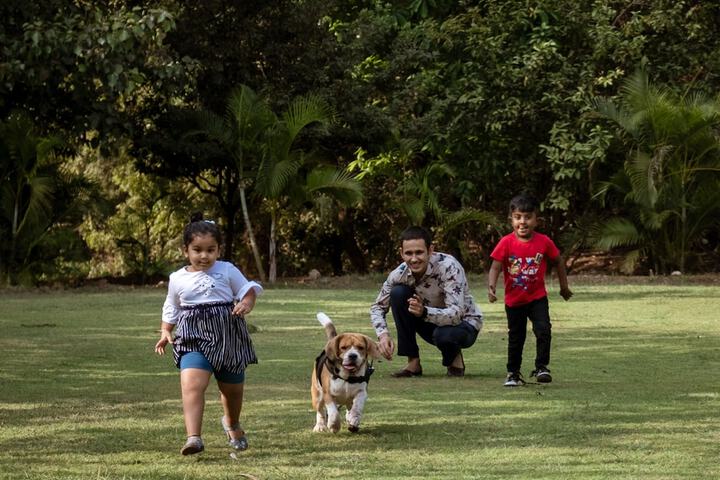 Pet Friendly 48 of 101