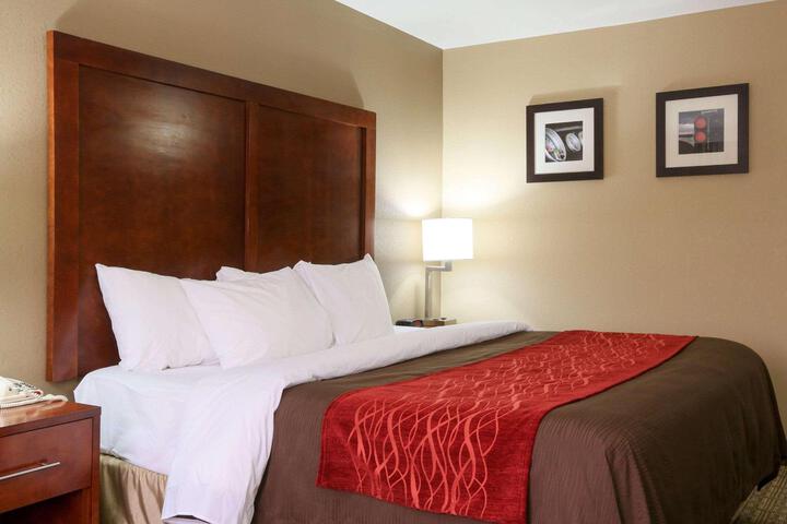 1 King Bed Accessible (9 of 11)