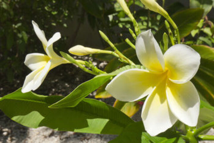 Property Grounds 35 of 40