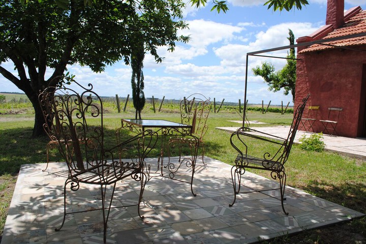 Terrace/Patio 9 of 13