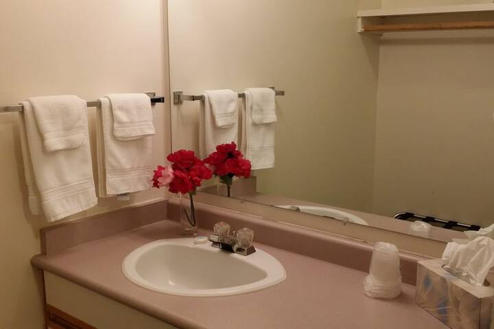 Bathroom sink