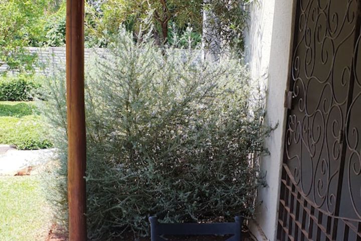 Terrace/Patio 60 of 138