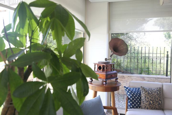 Entrance & Lobby