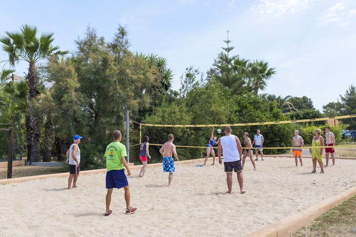 Sport court
