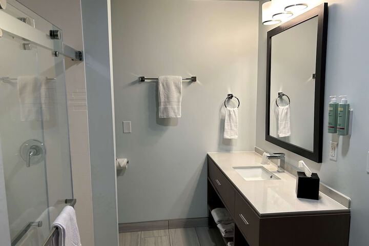 1 King Accessible Comm Assist Roll in Shower Microwave, Refrigerator Full Breakfast (3 of 6)