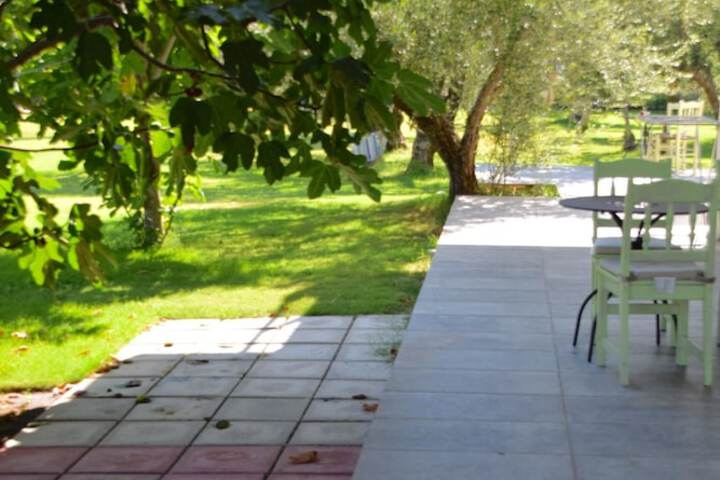 Terrace/Patio 45 of 81