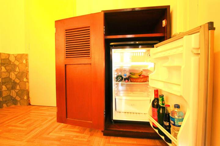 Mini-refrigerator