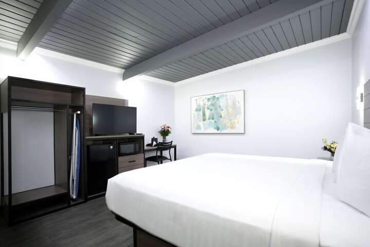 Executive Single Room (1 of 9)