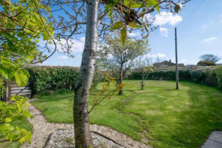 General 31 of 35