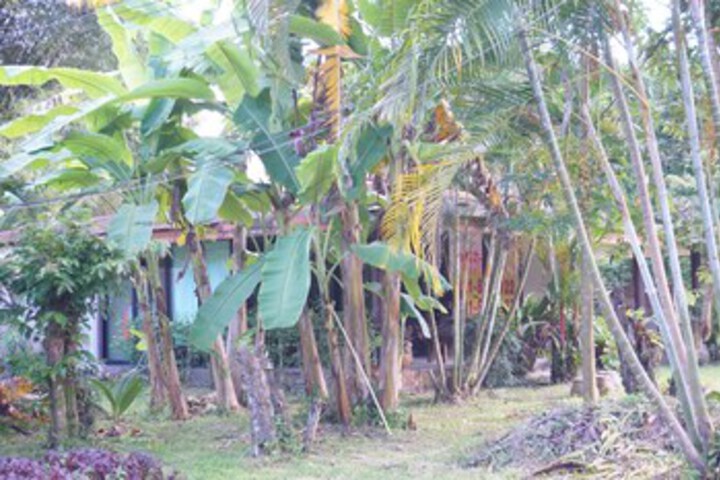 Property Grounds 11 of 25