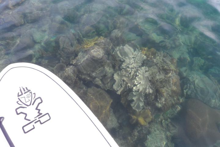Beach 90 of 113