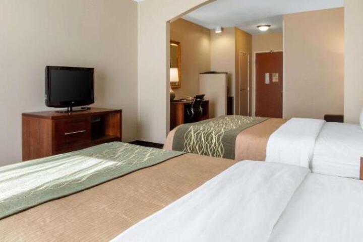 2 Queen Beds (6 of 21)