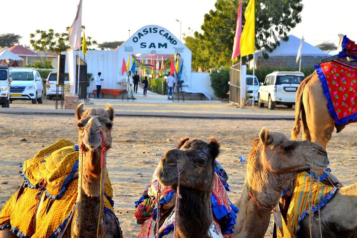 Oasis Camp Sam in Jaisalmer