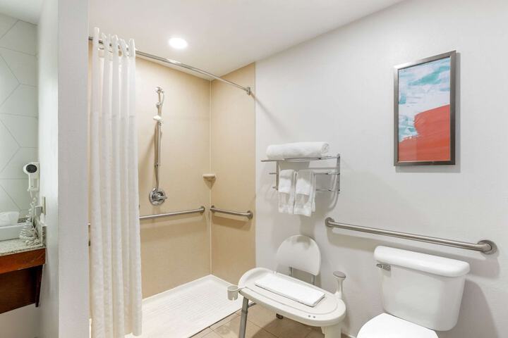 Suite King Bed Accessible (16 of 27)