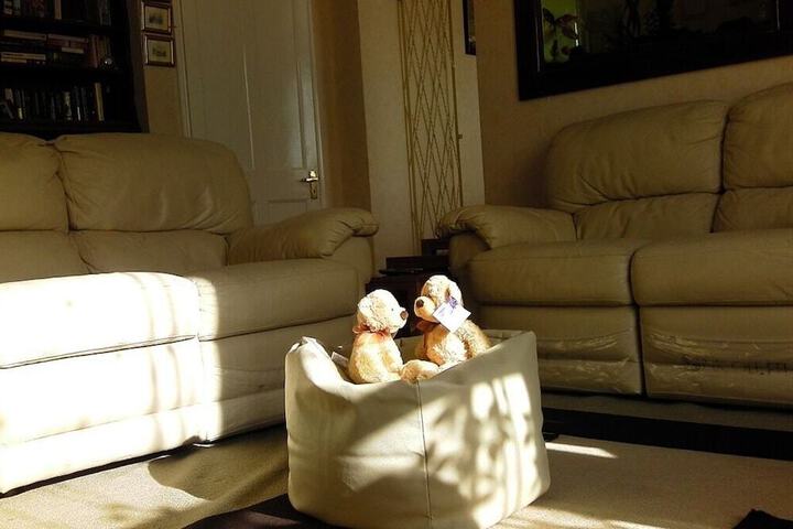 Photo 5