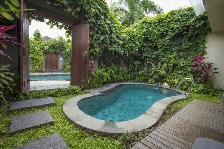 Hotel Pool