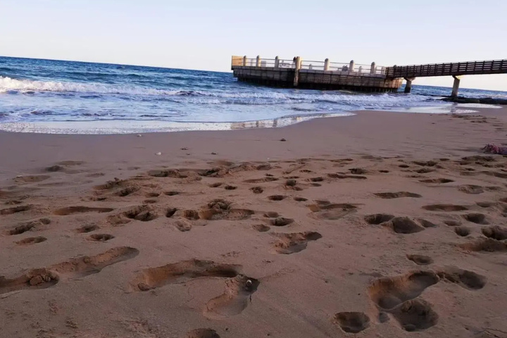 Beach 15 of 21