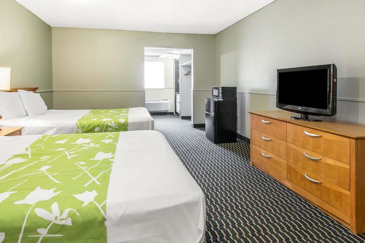Suite King Bed Pet Friendly (17 of 21)