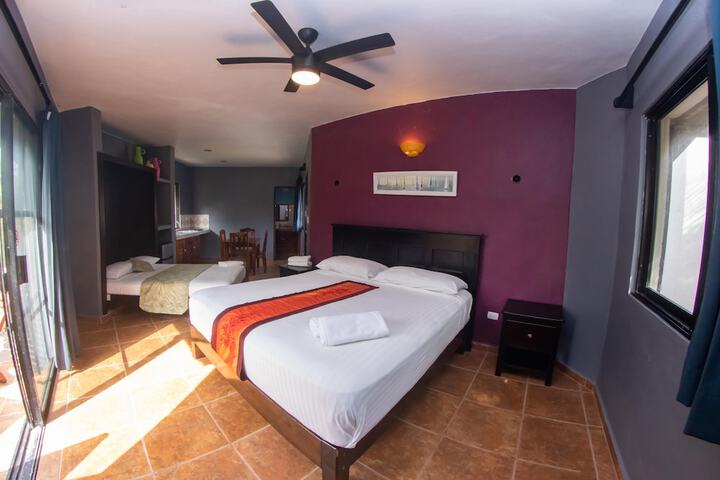 Room 16 of 52