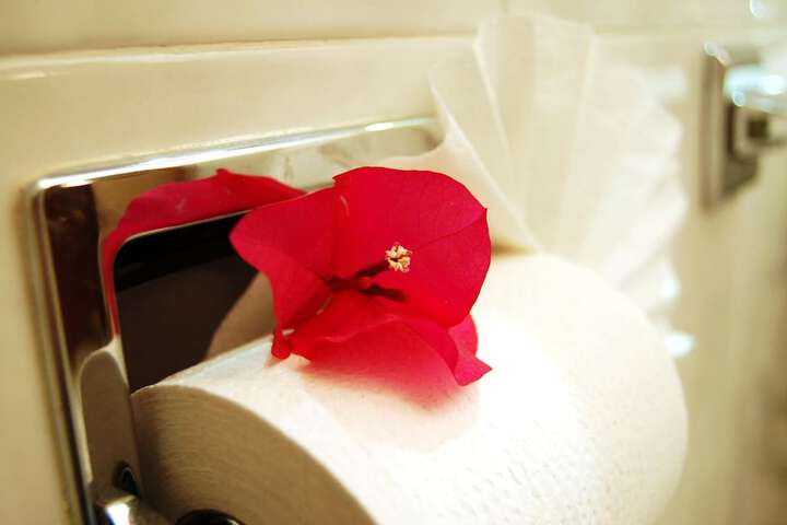 Bathroom Interior Photo