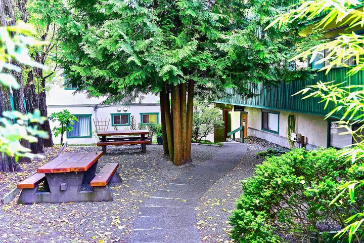 BBQ/picnic area