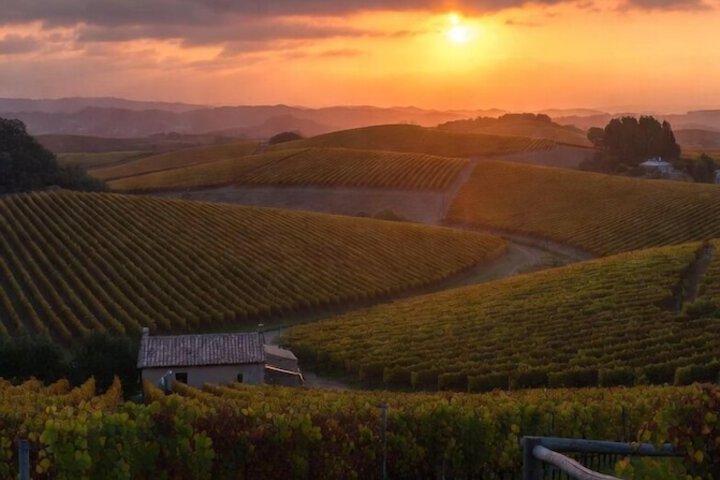 Winery