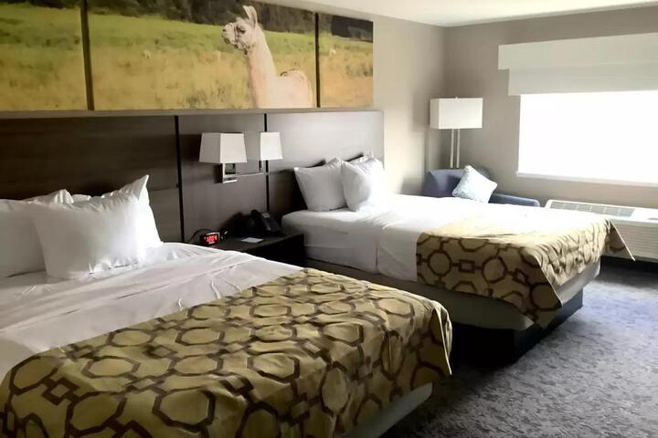 2 Queen Beds (12 of 14)